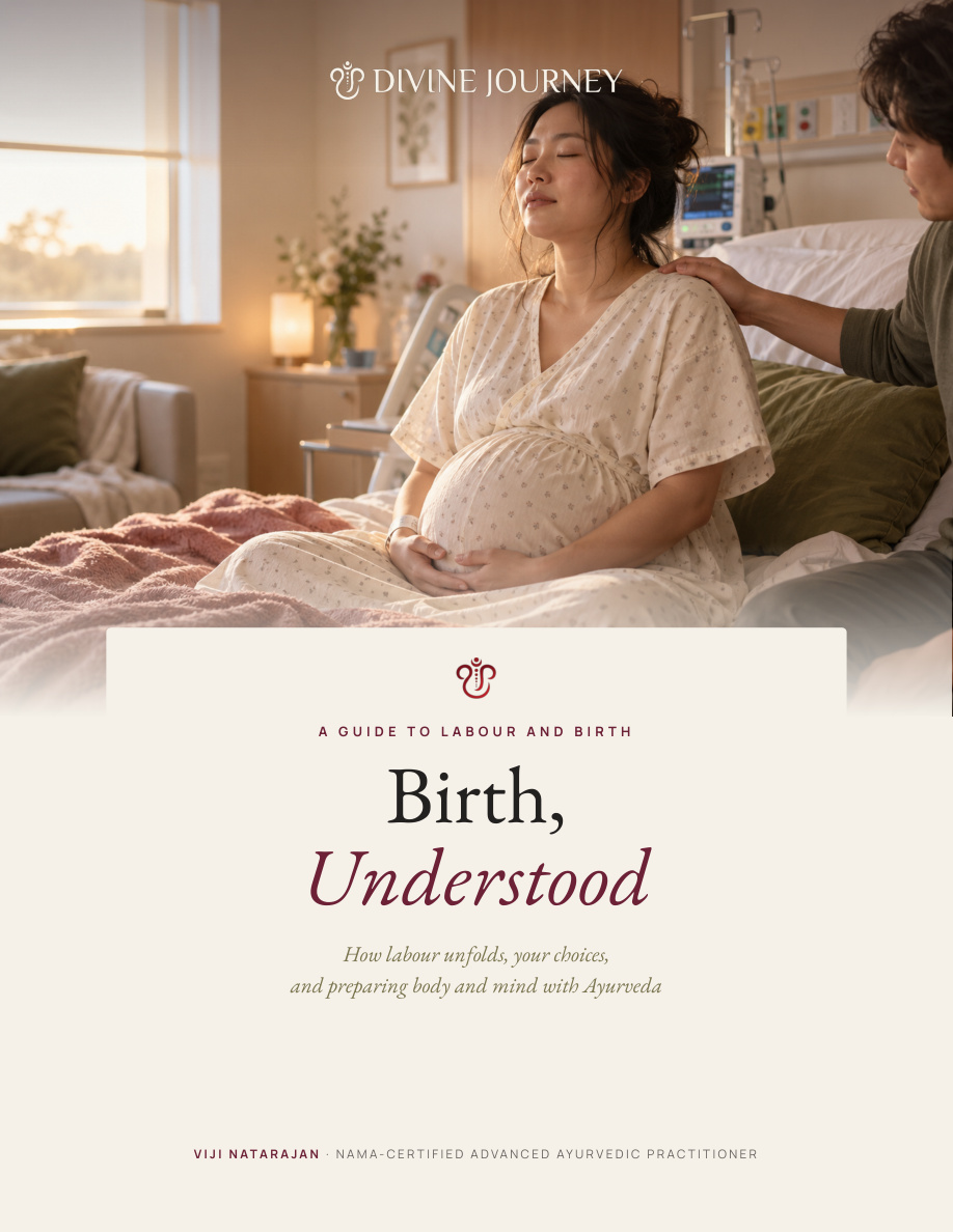 Birth, Understood — actual PDF cover