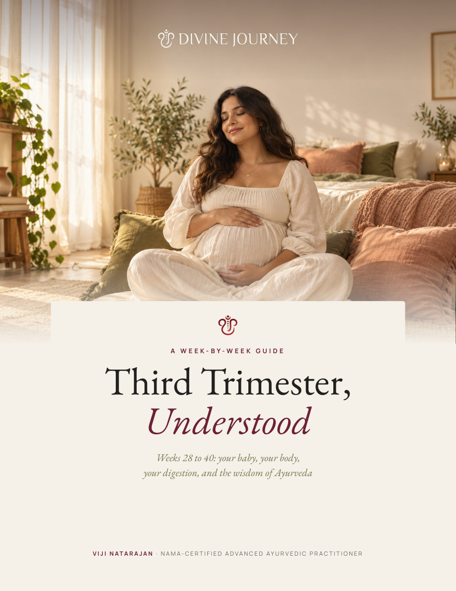 Third Trimester, Understood — actual PDF cover